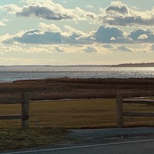 Meet your Posher, Kayden